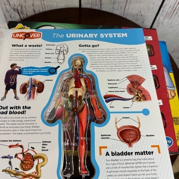 boardgames for kids lot of 3 operation, clue junior, the human body - Picture 4 of 10